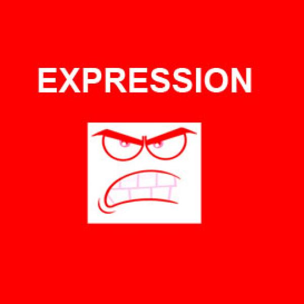 FASA: E-EXPRESSION 