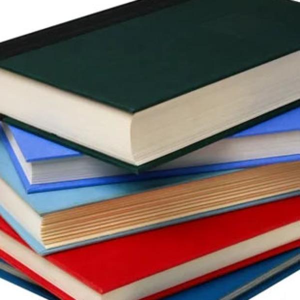 Pelaksanaan Kurikulum Secara Stand Alone atau Interdisiplinary